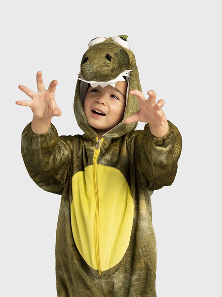 Roarin Rex Dinosaur Boys Dress Up Set/Costume