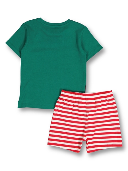 Medium green Toddler Boys Fashion Pyjama | Best&Less™ Online