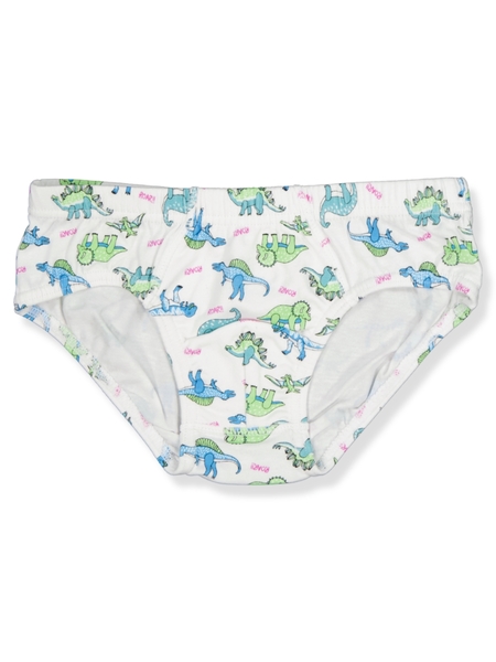 Buy Boys' Dinosaur Underwear Online
