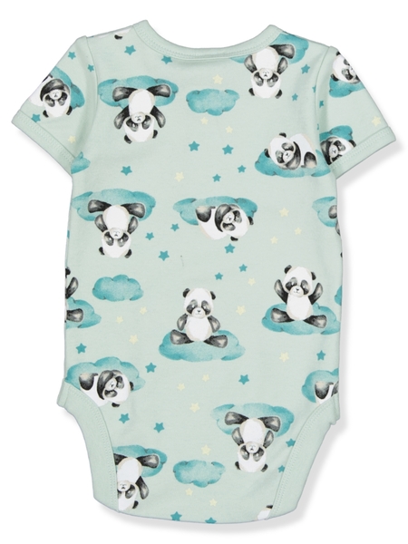 Baby Organic Cotton Short Sleeve Bodysuit