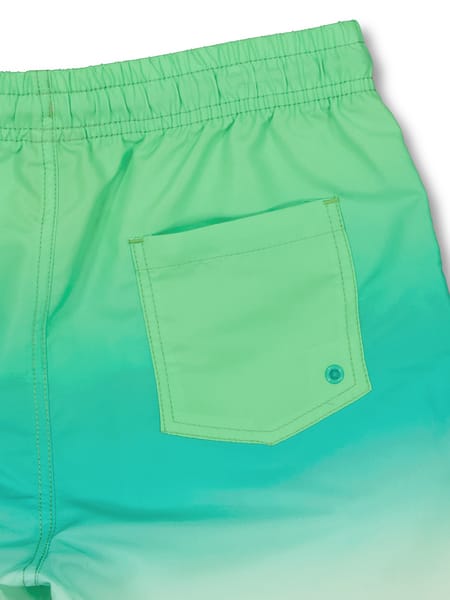 Light green Boys Ombre Volley Boardshorts | Best&Less™ Online