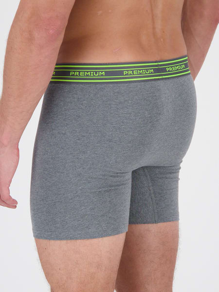 Mens Premium Fly Front Mid Length Trunk