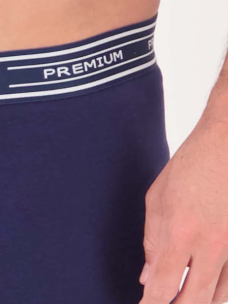 Mens Premium Fly Front Mid Length Trunk